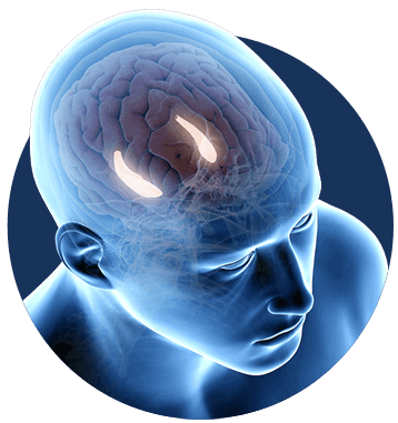 billionaire brain wave 7 minutes